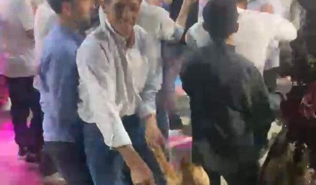 Nazilli’deki düğünde renkli görüntüler: Bu kez pistte köpek vardı