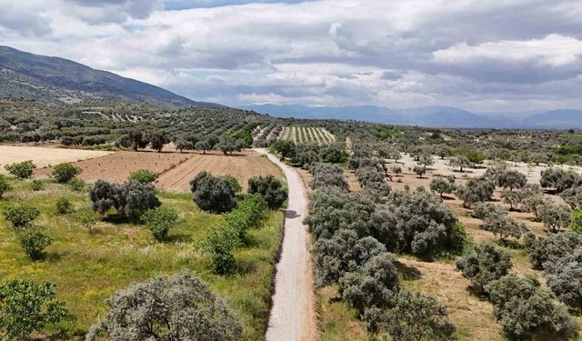 Yeniköy Mahallesi’nde yol ve taş duvar çalışmaları devam ediyor