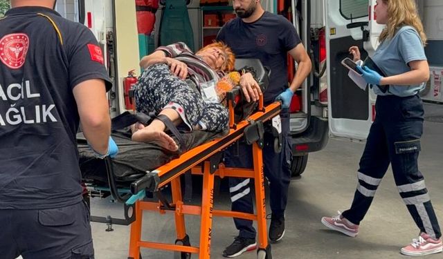 Bozdoğan’da şok olay  :85 yaşındaki kadın çarşı ortasında darp edildi