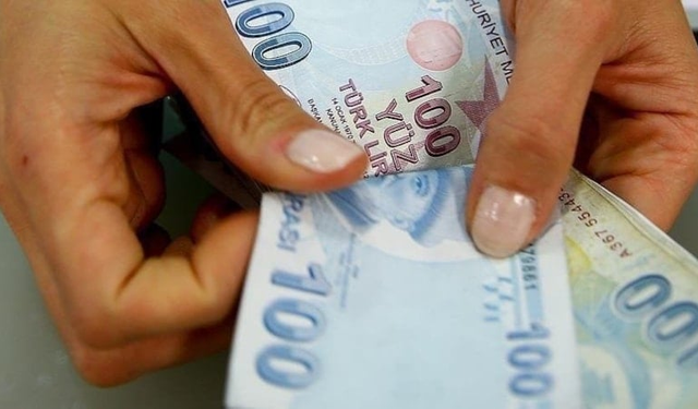 Karar Resmi Gazete'de: Birikimini getirene 20 yıl vergi yok