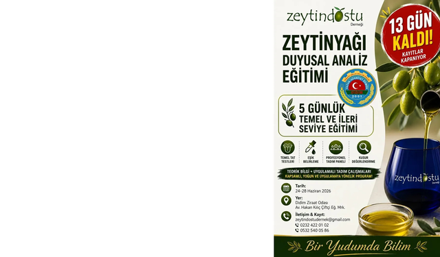Didim’de Zeytinyağı tadım uzmanları yetişiyor