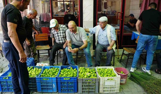 Aydın’da ilek pazarında fiyatlar her saat değişiyor