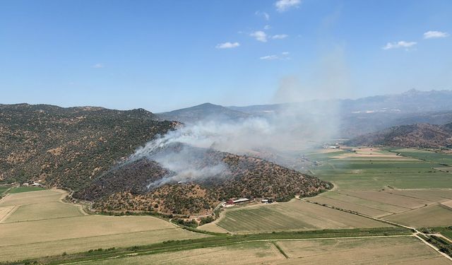 Aydın’da zeytinlik alanda yangın: Havadan ve karadan müdahale ediliyor
