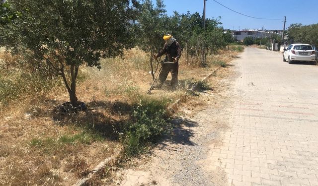 Didim Belediyesinden yeşil alanlarda bakım çalışması