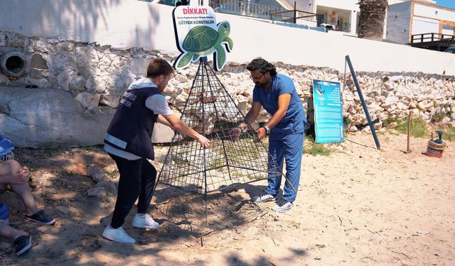 Didim'de caretta caretta seferberliği