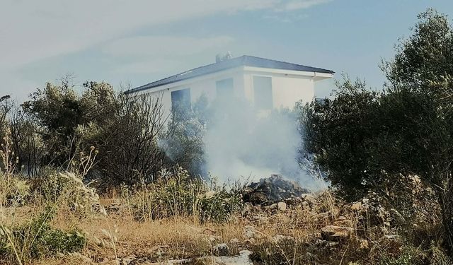 Didim'de korkutan yangın