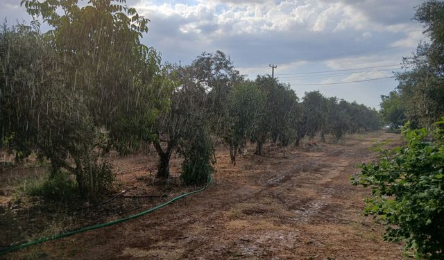 Karacasu'da yağışlı hava serinletti