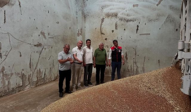 Koçarlı’da ilk hububat alımı gerçekleştirildi
