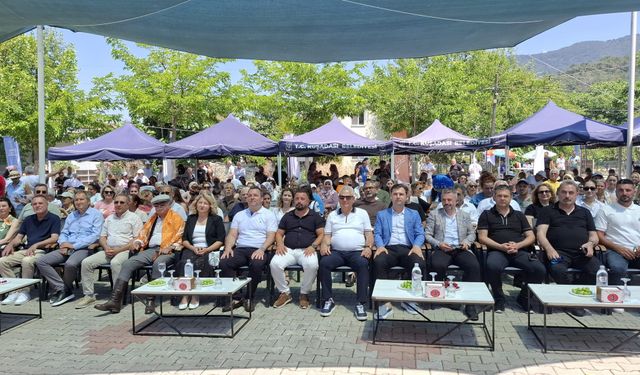 Kuşadası 'Kiraz Festivali' kapılarını karnaval havasında açtı