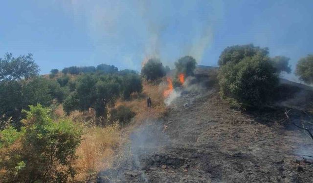 Nazilli Belediyesi ekipleri de yangına müdahale ediyor
