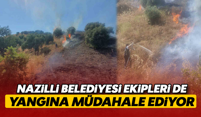 Nazilli Belediyesi ekipleri de yangına müdahale ediyor