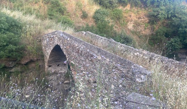 Otların arasında saklı miras: Bozköy Taş Köprüsü yüzyıllara meydan okuyor