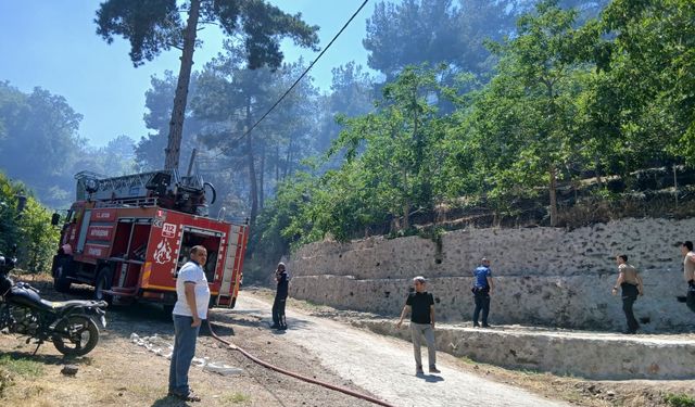 Karacasu yaylası'nda yangın paniği: Ekipler müdahaleyi sürdürüyor