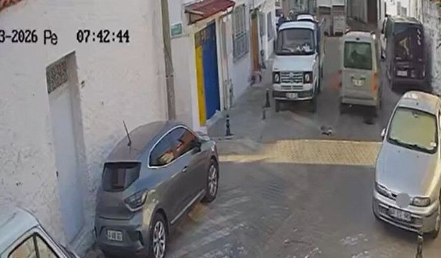 İki sokak kedisini ezdi, arkasına bile bakmadan uzaklaştı