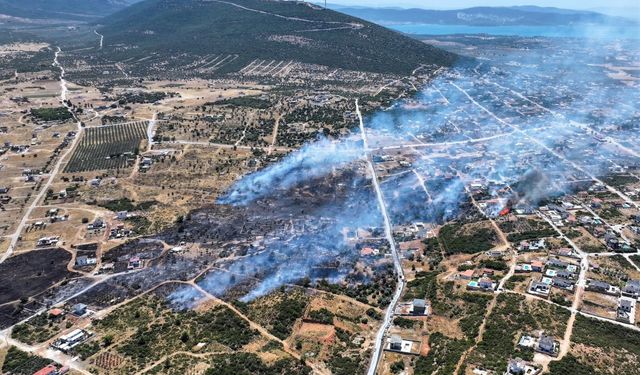 Alevler, Yeşiltepeyi küle çevirdi; Didim yangını havadan görüntülendi