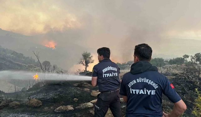 Aydın'da ateş savaşçılarının bir haftalık bilançosu belli oldu