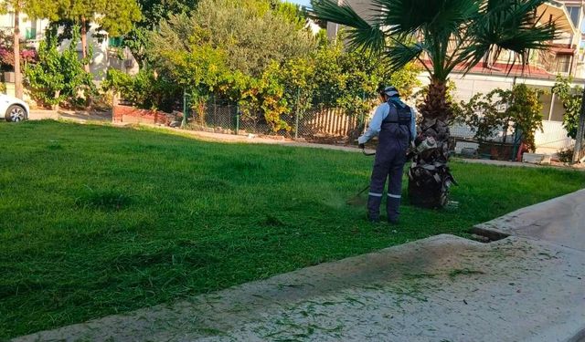 Başkan Gençay; 'Didim'in her noktasında sahadayız'