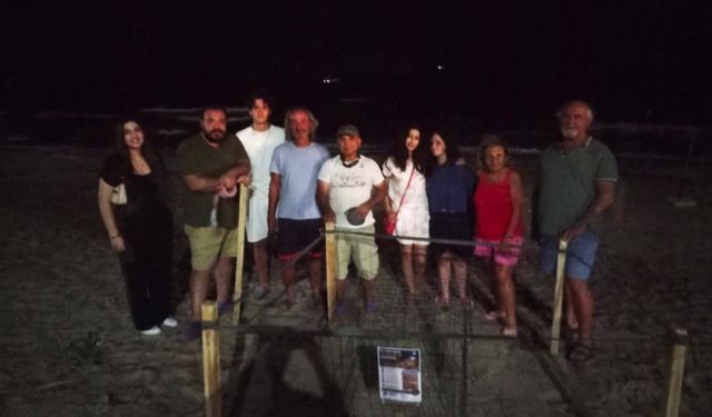 Caretta Caretta'ların Kuşadası plajlarına akını sürüyor