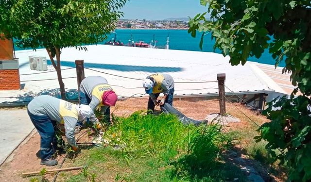 Didim Belediyesi Akköy serasında üretim büyüyor