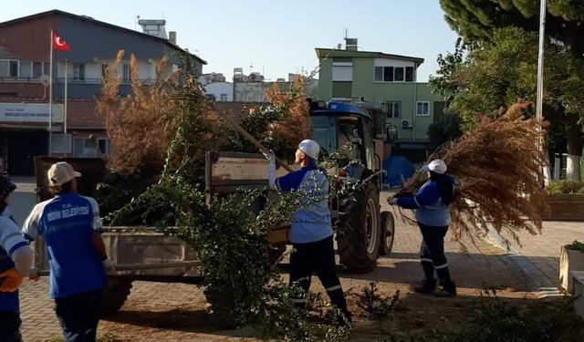 Didim Belediyesi kent genelinde bakım çalışmalarına sürdürüyor