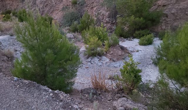 Doğaya beton atık skandalı: Vatandaşların kamerasına yansıdı