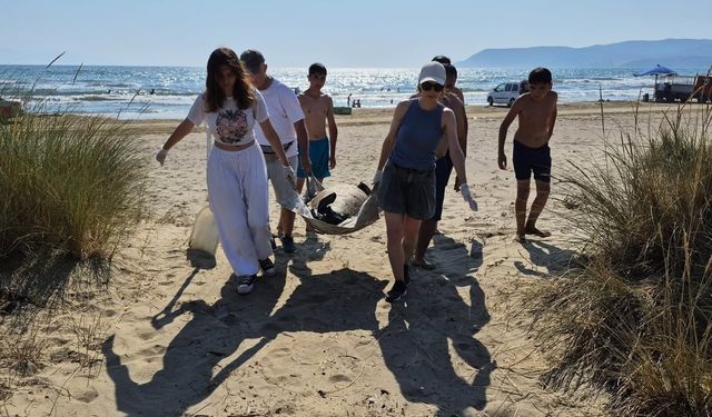 Ege kıyılarında yürek burkan tablo : Üremeye geldiler, ölüme yakalandılar