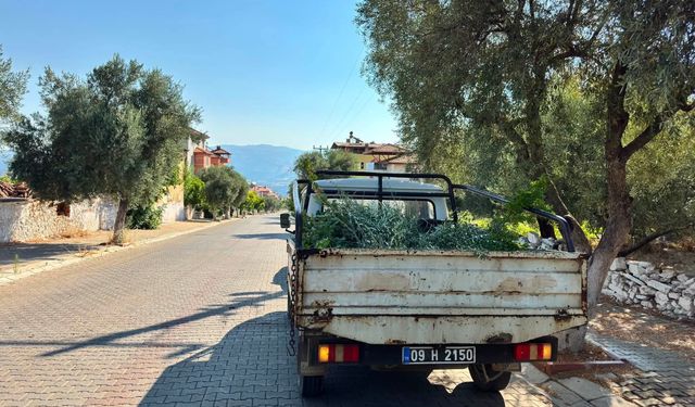 Karacasu Belediyesi'nin İlçe Merkezinde Temmuz Ayı Faaliyetleri: Yollardan Yaylalara Aralıksız Hizmet