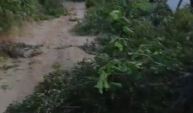 Karacasu'da elektrik bakım çalışması yolu kapattı: Vatandaşlar isyan etti