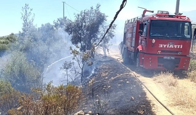 Karacasu'da aşırı elektrik kullanımı yangına sebep oldu