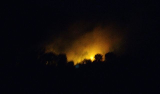 Karacasu'da korkutan orman yangını: 20 dönüm alan kül oldu