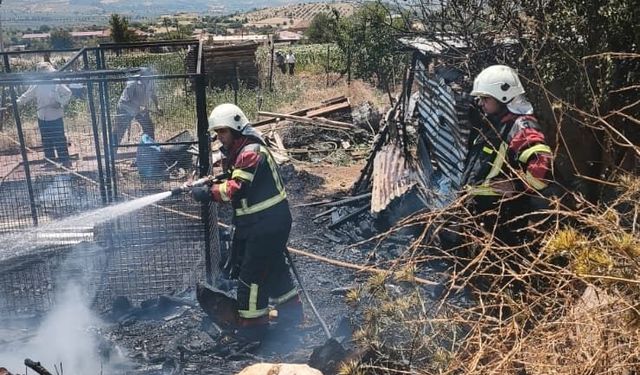 Karacasu'da korkutan yangın