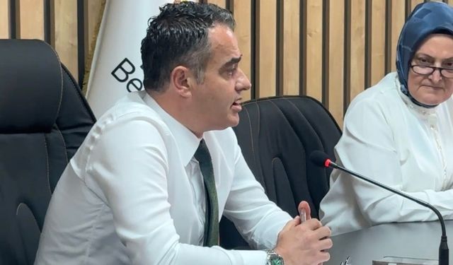 Koçarlı Meclisi’nde sivrisinek gündemi