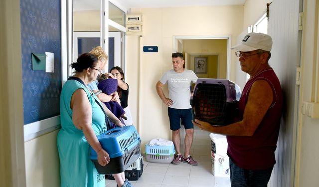 Kuşadası'nda can dostlarına sıcak yuva: Sahiplenme seferberliği büyüyor