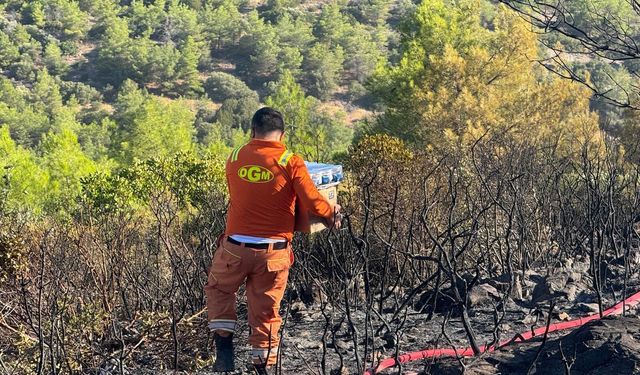 Milas'taki orman yangınına Didim'den destek: Söndürme ekiplerine gıda takviyesi
