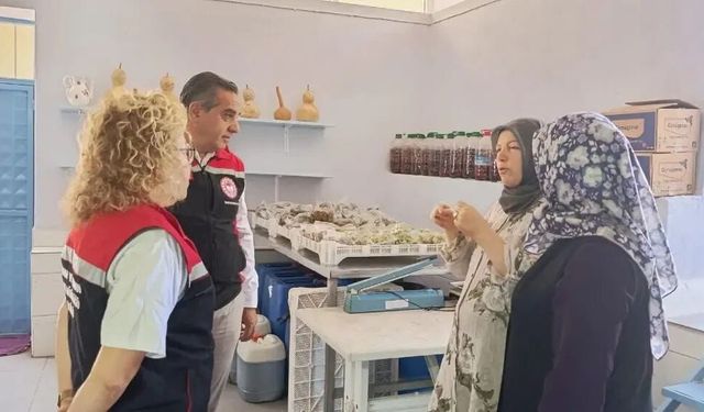 Topraktan doğan başarı! : Nazilli'nin kadınları üreterek kazanıyor