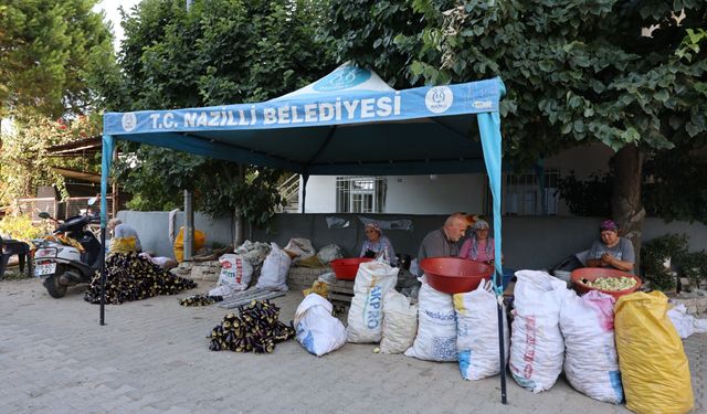 Başkan Tetik’ten kadın üreticilere hızlı çözüm