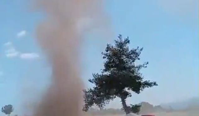 Karacasu'da Tütün Tarlasında Korkutan Hortum: "Neye Uğradığımızı Şaşırdık!"