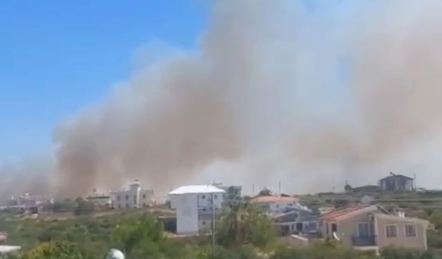 Didim'de makilik alanda yangın korkuttu