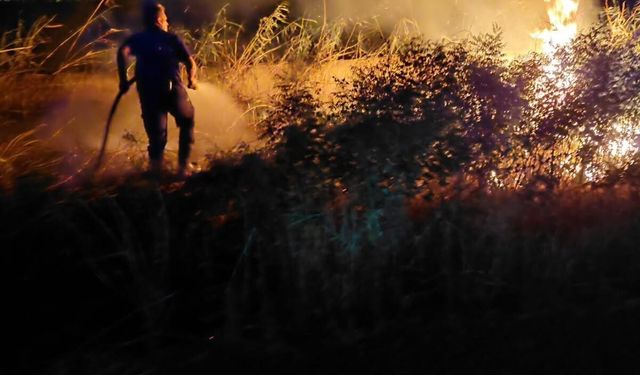 Nazilli ucuz atlattı : Zeytinlikte başlayan yangın ormana sıçramadan söndürüldü