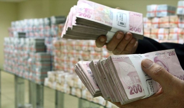 TÜİK açıkladı: Temmuzda en çok kazandıran yatırım aracı belli oldu