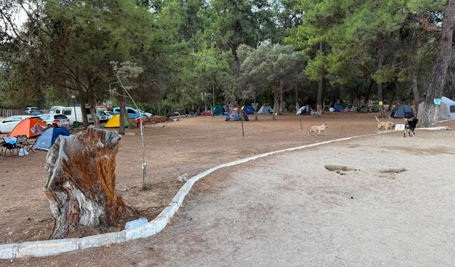 Akbük Çam Koru plajı'nda yasak dinlenmiyor: Site sakinlerinden sert tepki