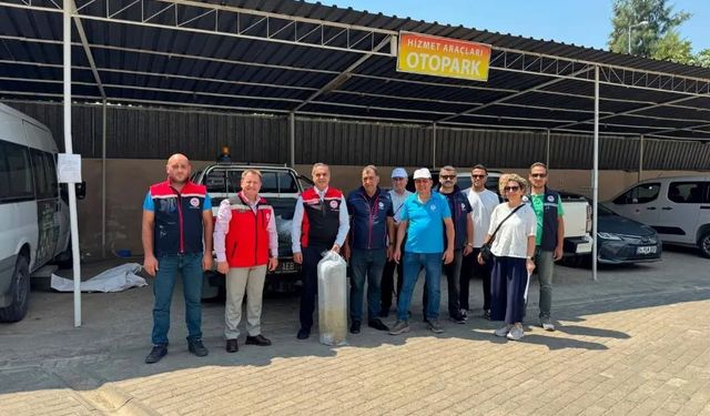 Aydın’da 535 bin sazan suyla buluştu
