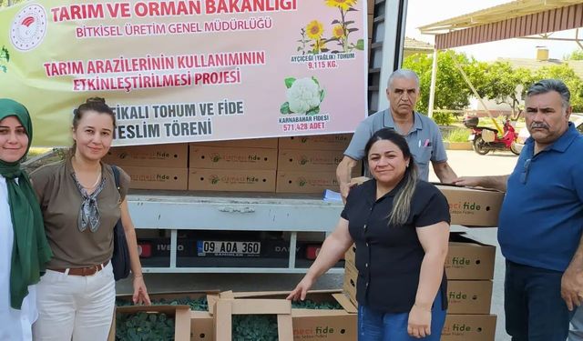 Aydın’da üreticiye 299 bin 600 karnabahar fidesi desteği