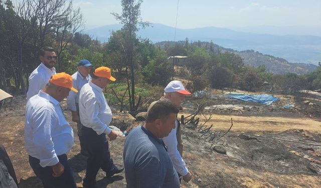 Bayraktar, Çine'de yangından etkilenen alanları inceledi
