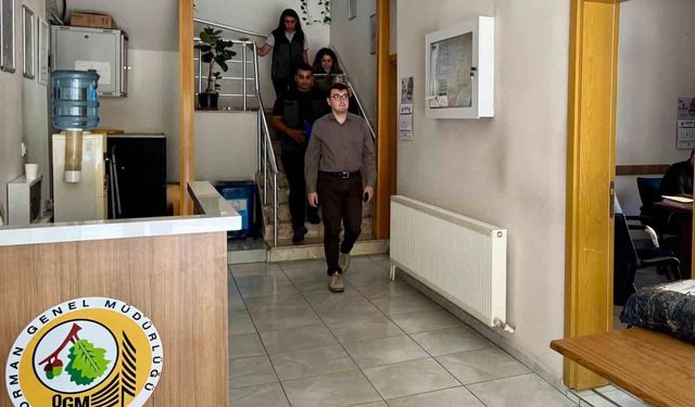 Bozdoğan Kaymakamı Sözen, spor tesisleri ve orman işletmelerini inceledi