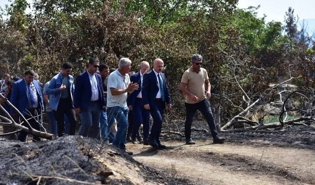 Çine’de yangının yaraları sarılıyor: Bakan Yardımcısı Bulut sahada