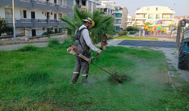 Didim'de Dört Koldan Çalışma: Yeşil Alanlar ve Yol Kenarları Temizleniyor