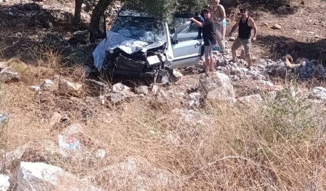 Direksiyon hakimiyetini kaybetti; zeytinlik alan uçtu