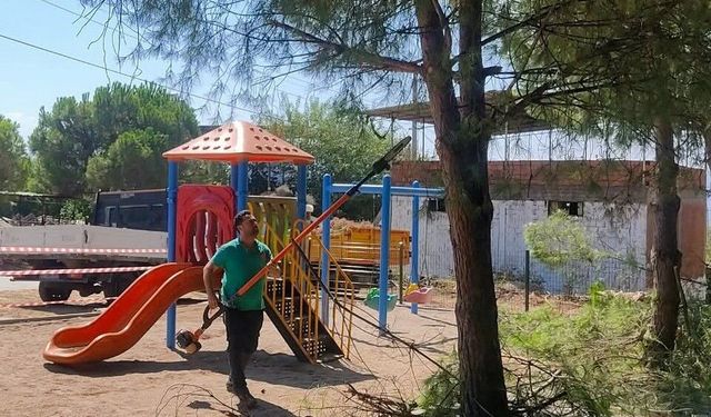 Efeler’de yeşil alanların bakımı sürüyor