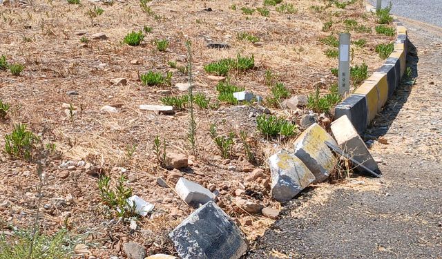 Festivale hazırlanan Karacasu'ya yakışmayan görüntü